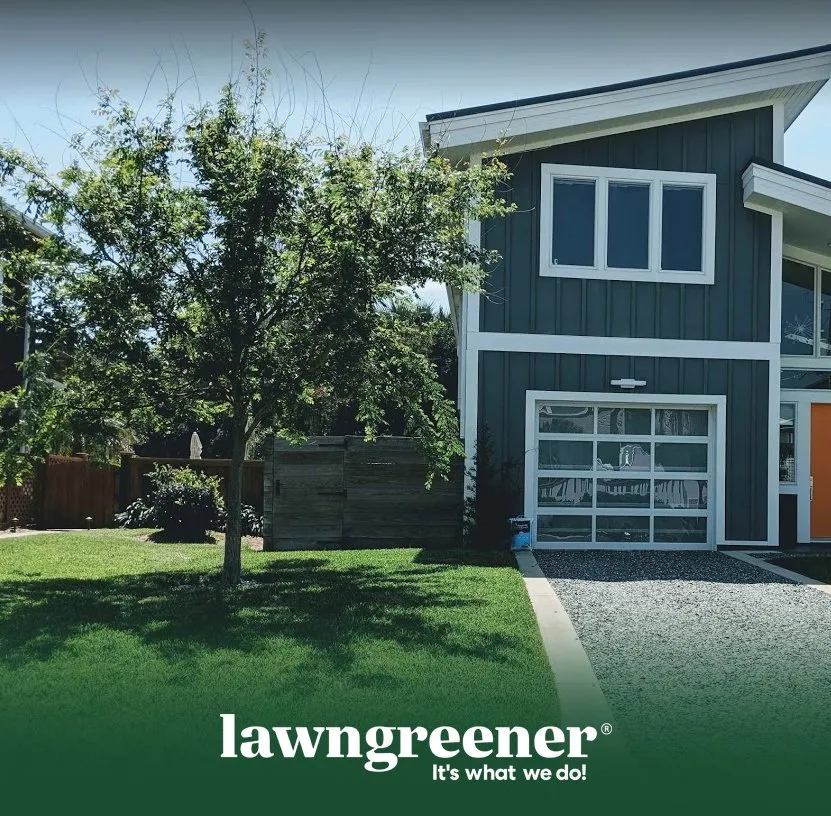 Trusted residential landscaping for outdoor upgrades in Jacksonville, FL by Lawngreener