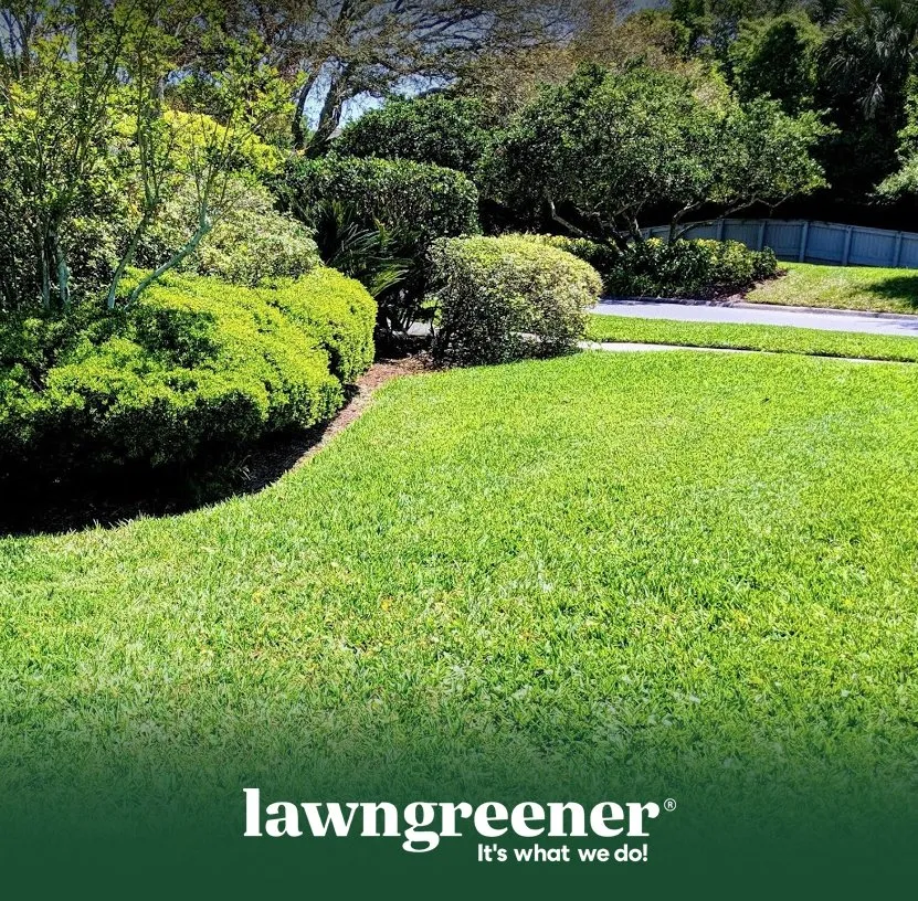 Affordable residential landscaping in Jacksonville, FL by Lawngreener