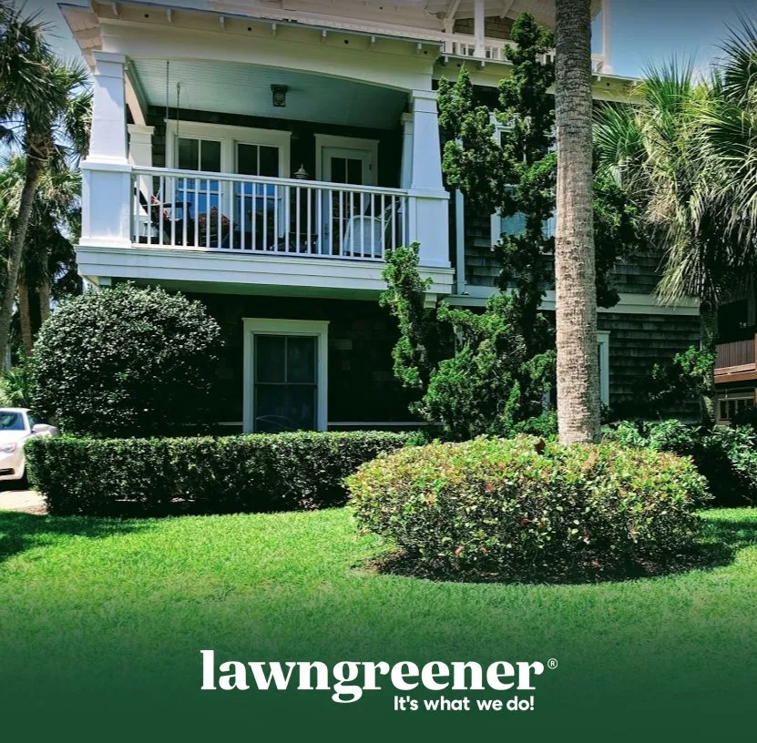 Expert landscaping services in Jacksonville, FL by Lawngreener