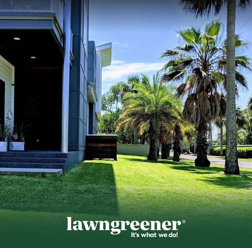 Reliable lawn care service for homes across Jacksonville, FL - Lawngreener