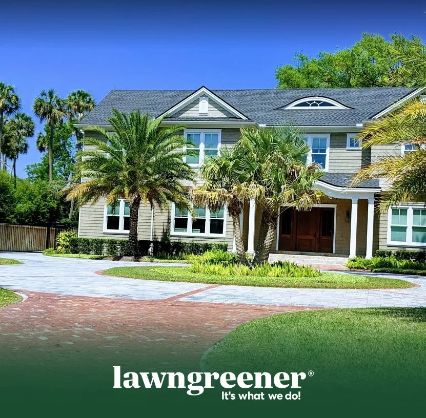 Reliable yard cleanup service for residential properties in Jacksonville, FL by Lawngreener