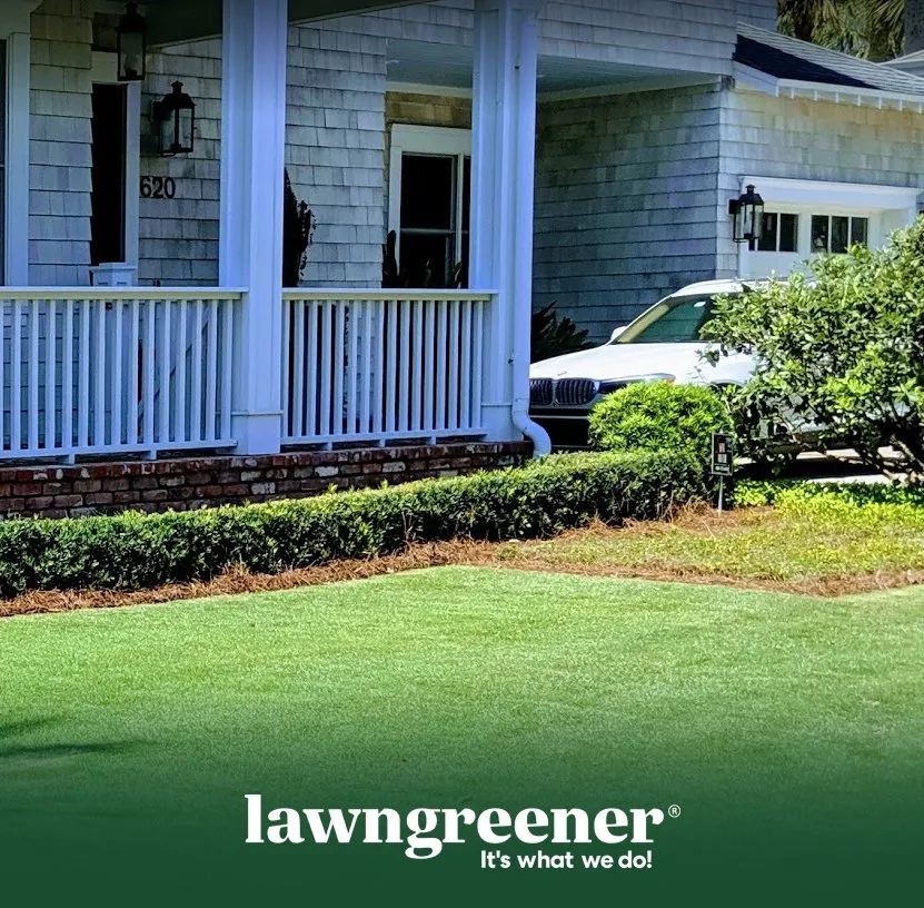 Top-rated yard cleanup service in Jacksonville, FL - Lawngreener