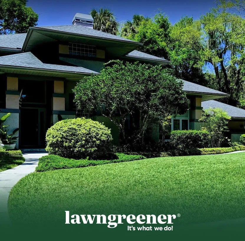 Top-rated landscape installation in Jacksonville, FL by Lawngreener