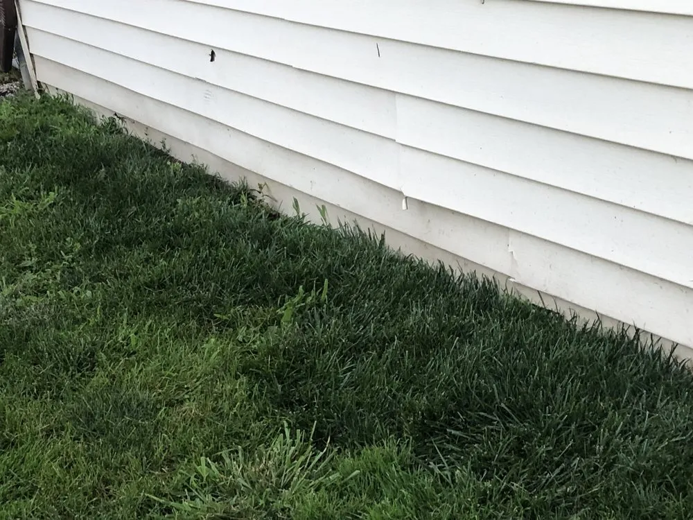 Top-rated garden landscaping in Novi, MI - LawnGuru