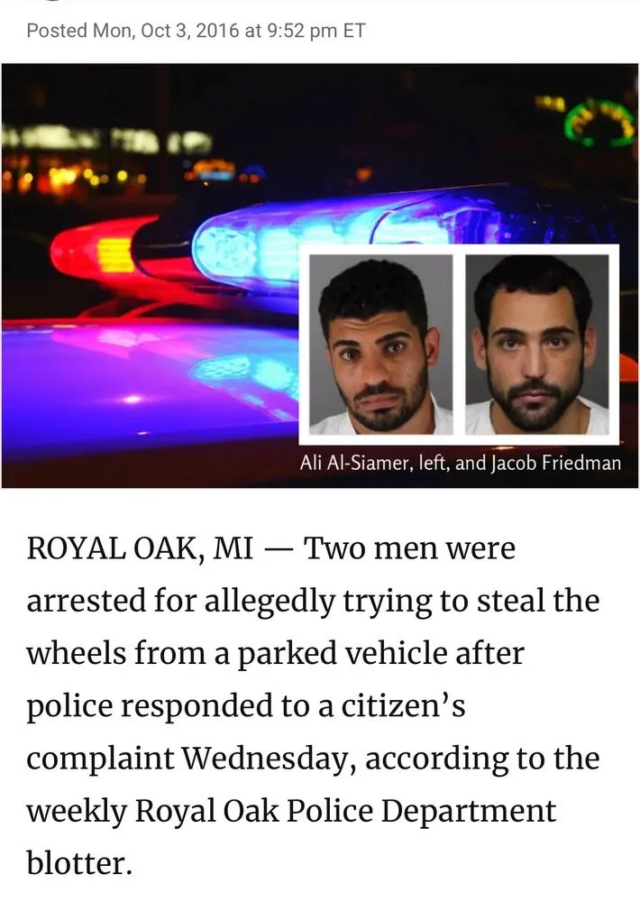 Top-rated yard cleanup service in Novi, MI by LawnGuru