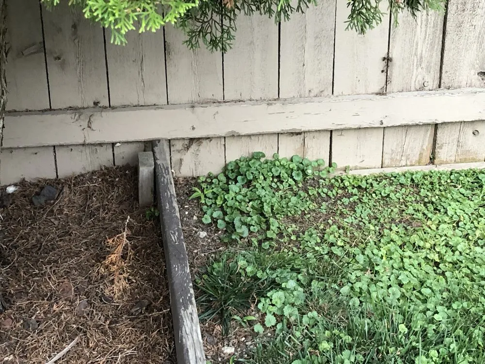 Trusted garden landscaping in Novi, MI by LawnGuru