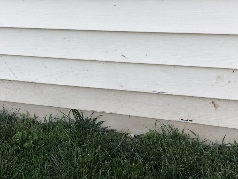 Local yard cleanup service for homes in Novi, MI by LawnGuru