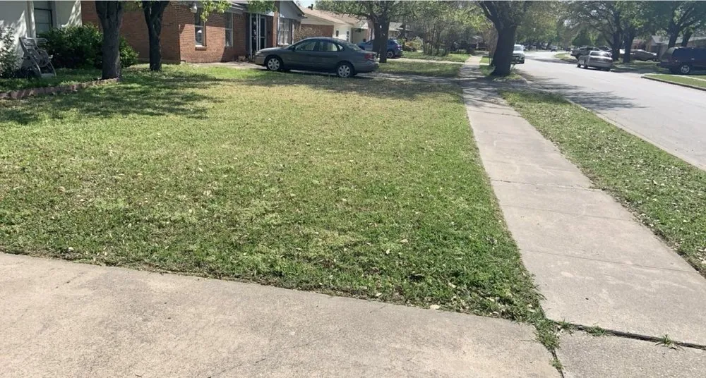 Expert landscaping services near you in Carrollton, TX by Lawnhorn Lawn Care