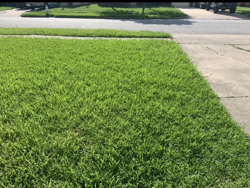 Reliable lawn mowing service for beautiful yards in Carrollton, TX by Lawnhorn Lawn Care