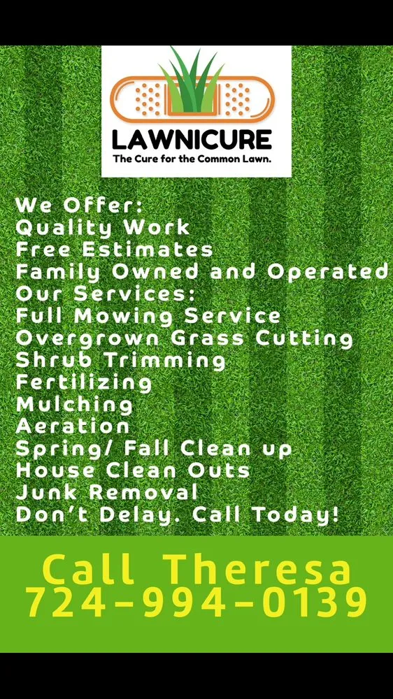 Expert yard maintenance for year-round maintenance across New Kensington, PA - Lawnicure
