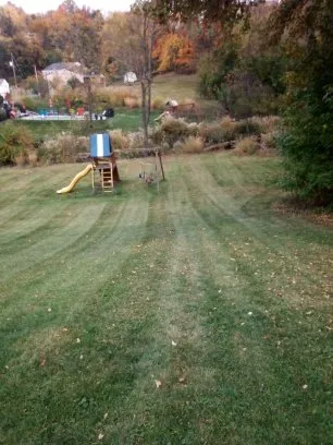 Affordable yard cleanup service in New Kensington, PA by Lawnicure