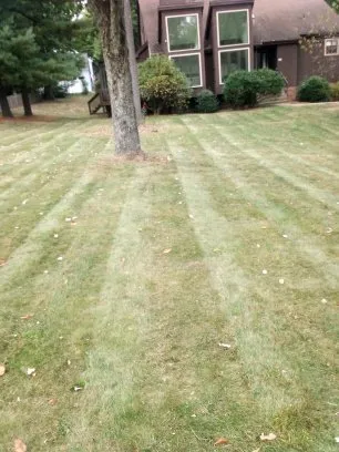 Expert landscaping services in New Kensington, PA by Lawnicure