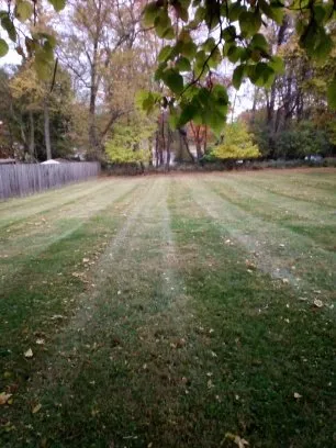 Local garden landscaping for homes across New Kensington, PA - Lawnicure