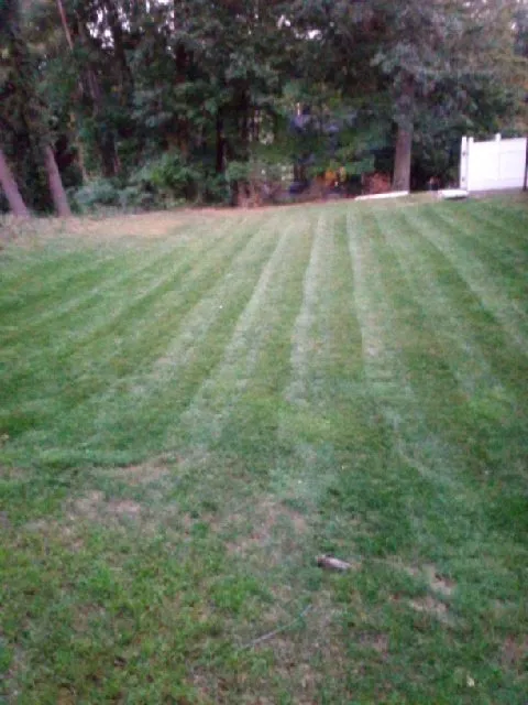 Top-rated yard maintenance for year-round maintenance in New Kensington, PA by Lawnicure
