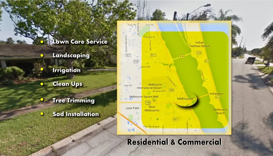 Expert yard cleanup service in Melbourne, FL by LawnJunction Melbourne