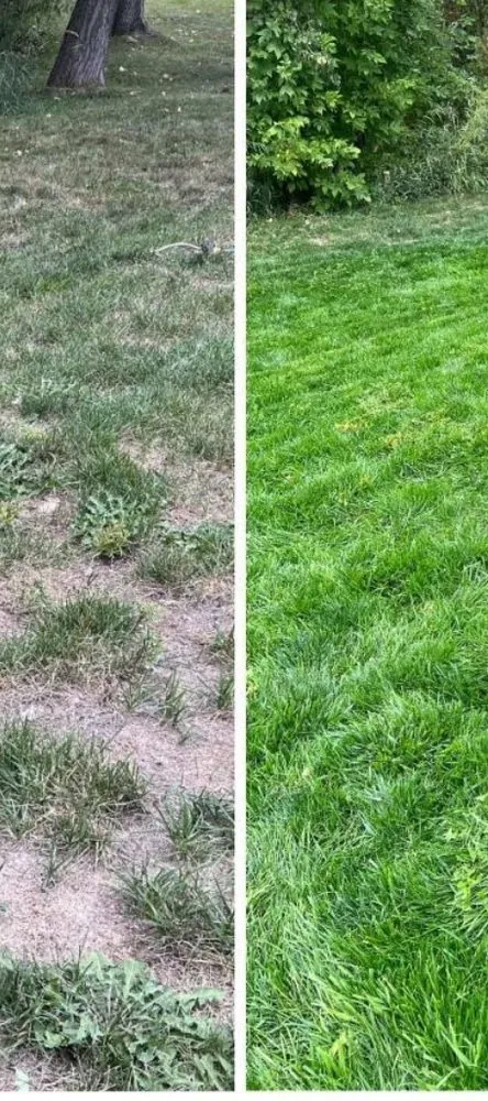 Reliable landscape design for residential properties across Escondido, CA - LawnLift Aeration