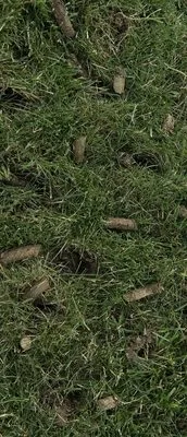 LawnLift Aeration Logo