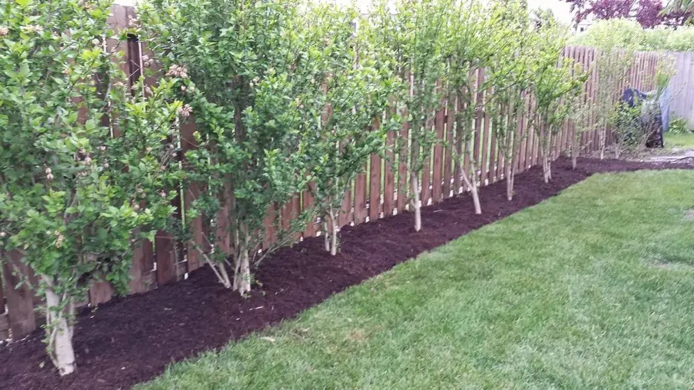 Trusted outdoor landscaping in Wichita, KS - LawnLux Landscaping