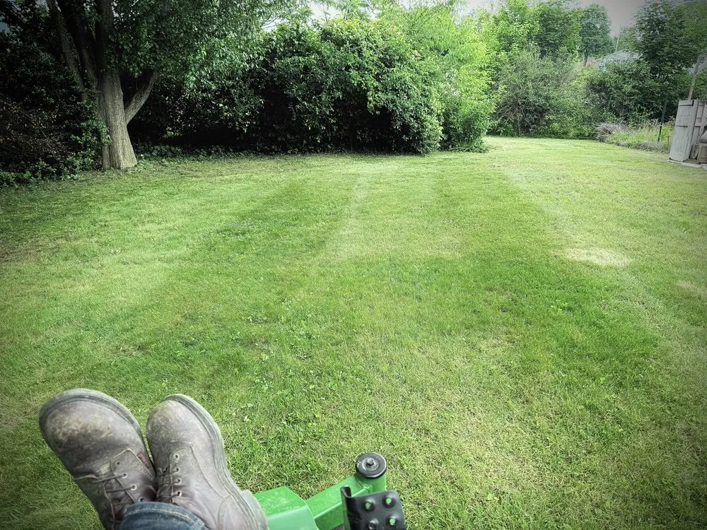 Professional yard cleanup service for homes across Baltimore, MD - Lawnluxe