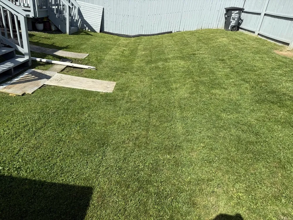 Professional landscape installation in Baltimore, MD - Lawnluxe
