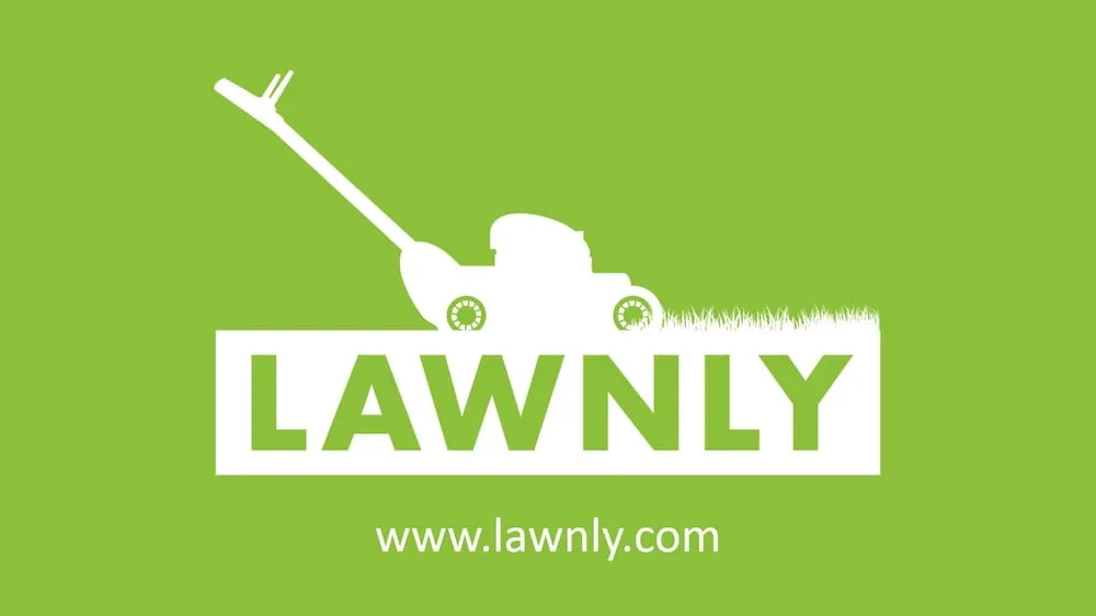 Reliable yard cleanup service for residential properties in Fayetteville, AR by Lawnly