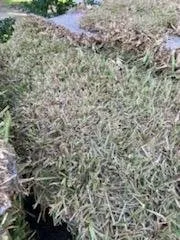 Custom outdoor landscaping in Apopka, FL by LawnMakers