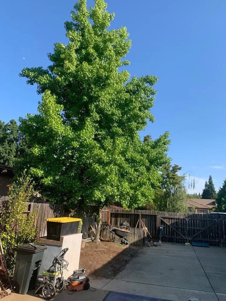 Trusted outdoor landscaping in Sacramento, CA - Lawnman Landscape