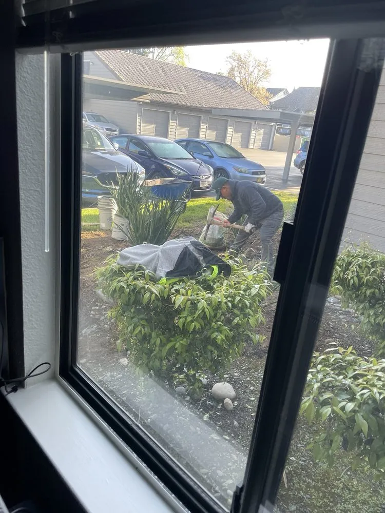 Local garden landscaping in Sacramento, CA - Lawnman Landscape