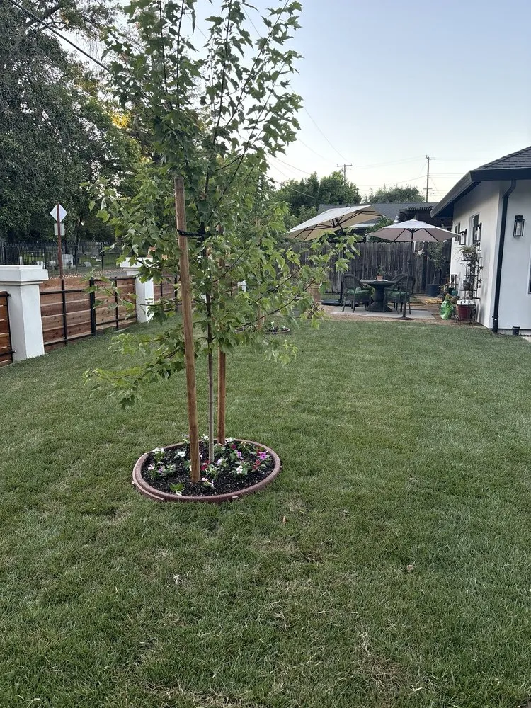 Local landscape installation in Sacramento, CA by Lawnman Landscape