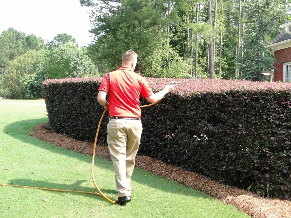 Affordable lawn mowing service for homes in Dallas, GA by LawnMasters