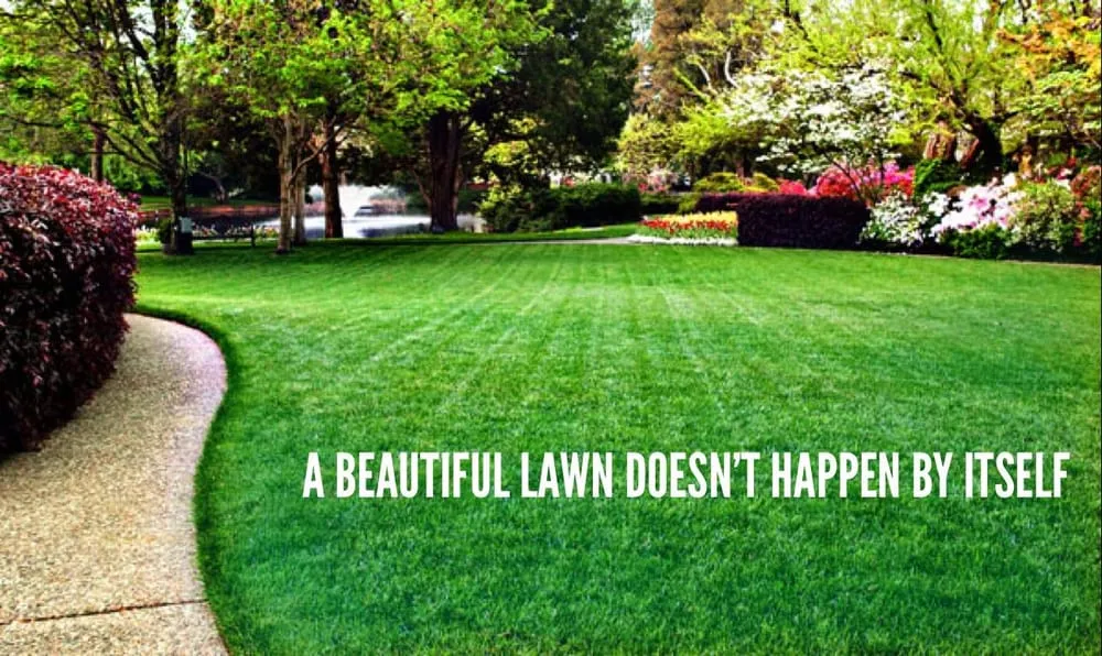 Top-rated yard cleanup service experts serving Dallas, GA - LawnMasters