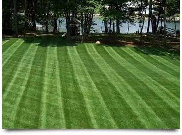 Expert landscaping services in Puryear, TN by Lawnmasters Lawn & Landscape
