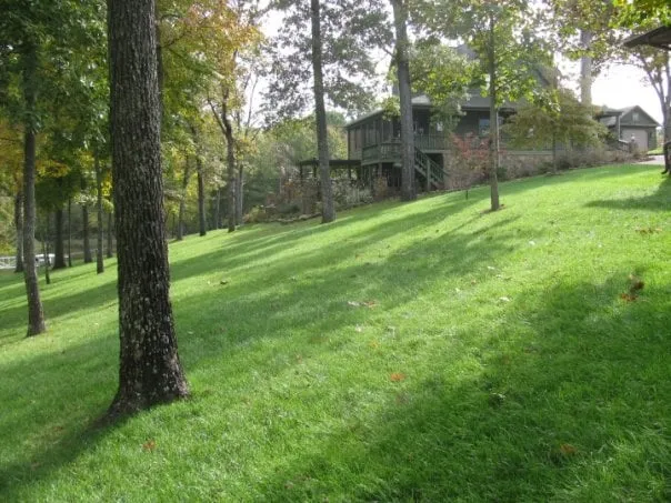 Trusted yard maintenance for year-round maintenance across Puryear, TN - Lawnmasters Lawn & Landscape