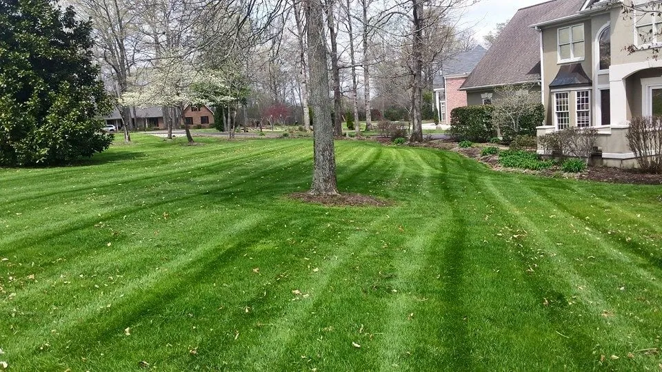 Professional landscape design in Puryear, TN by Lawnmasters Lawn & Landscape
