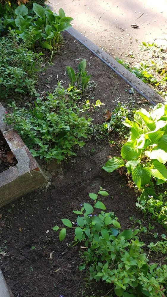 Affordable lawn mowing service for outdoor upgrades in Monroe, LA by LawnMasters