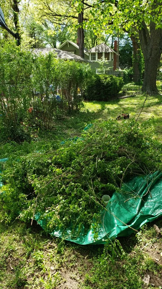 Affordable landscape installation in Monroe, LA - LawnMasters