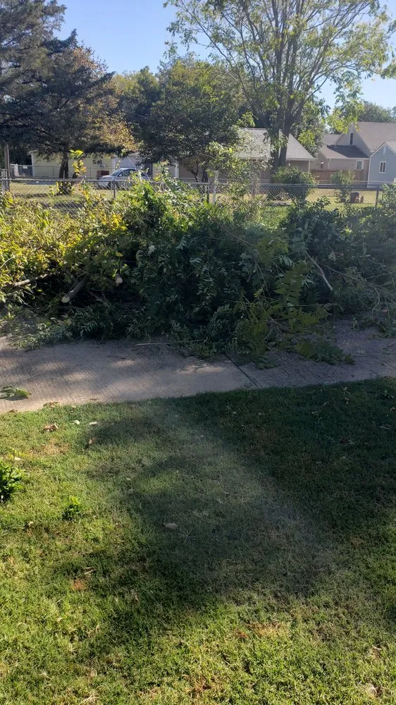 Expert landscaping services in Monroe, LA by LawnMasters