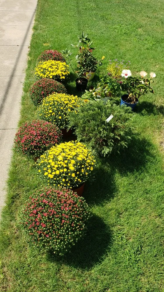 Professional landscape design for residential properties in Monroe, LA by LawnMasters