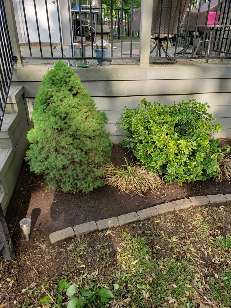 Reliable lawn mowing service in Monroe, LA - LawnMasters