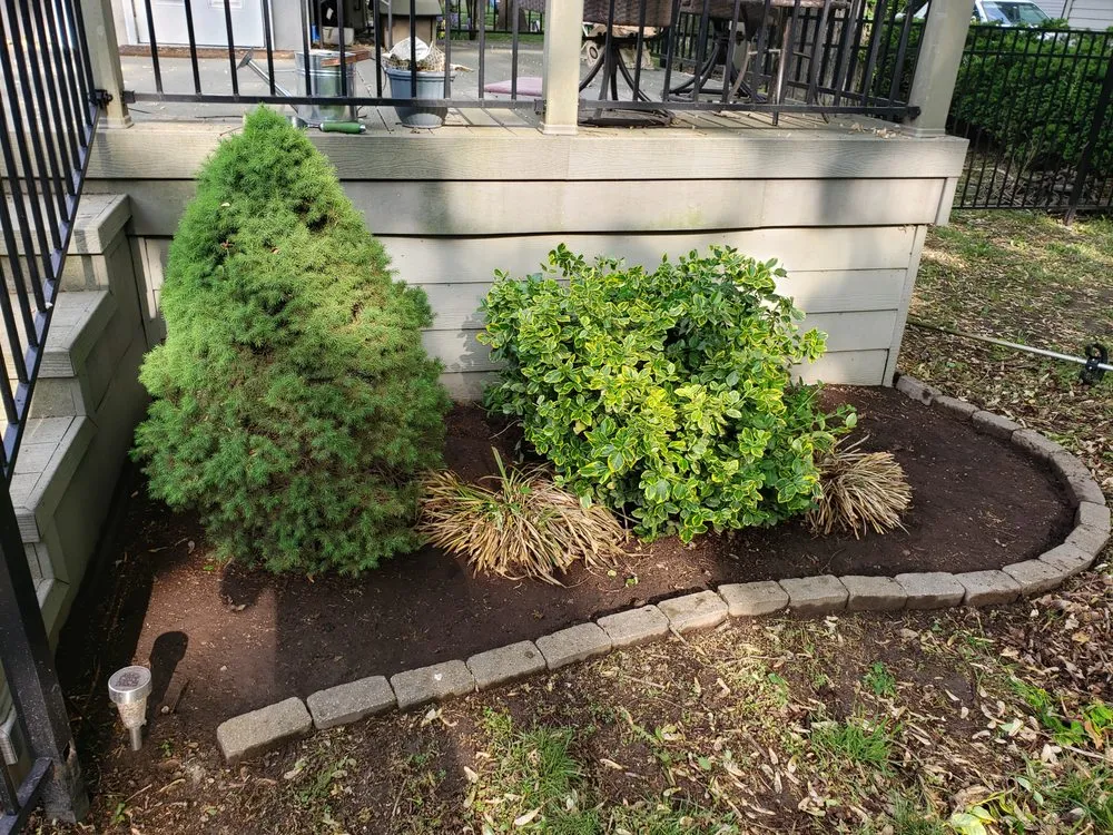 Expert landscape design for year-round maintenance in Monroe, LA by LawnMasters