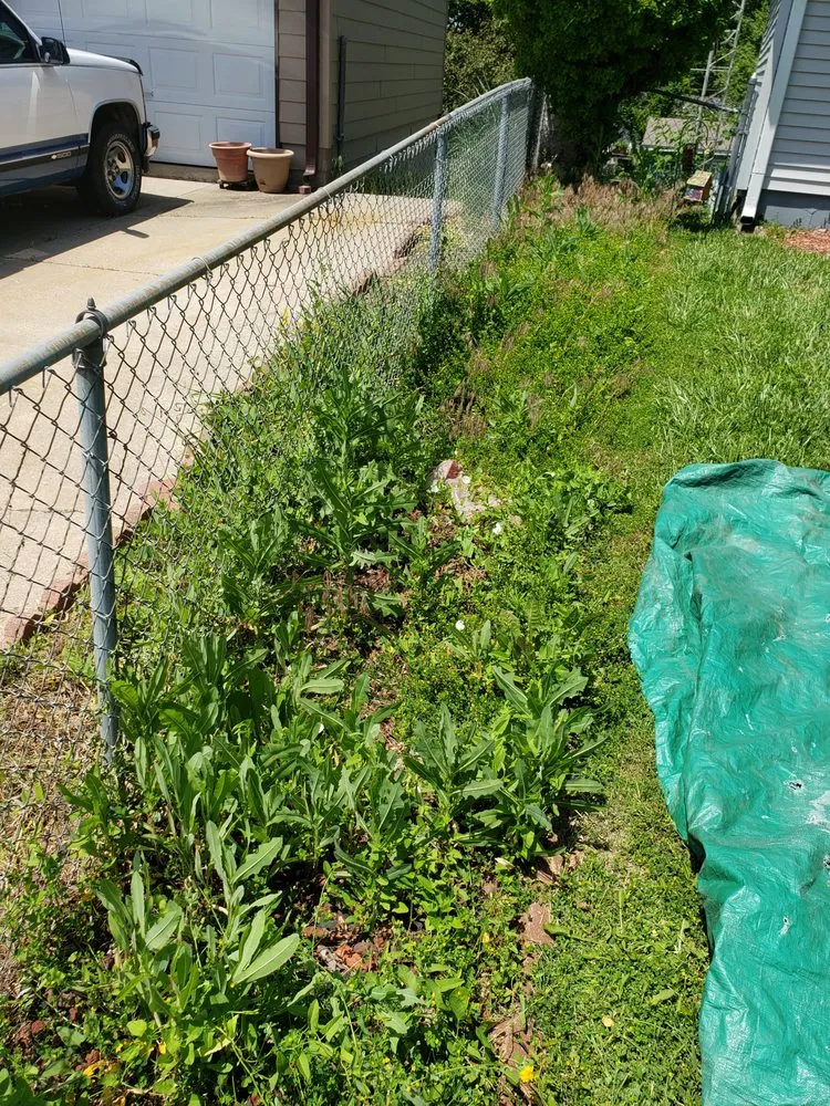 Reliable yard cleanup service for homes across Monroe, LA - LawnMasters