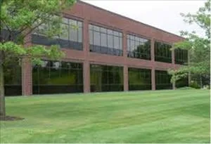 Custom yard maintenance in Bradenton, FL - Lawnmasters of Manasota