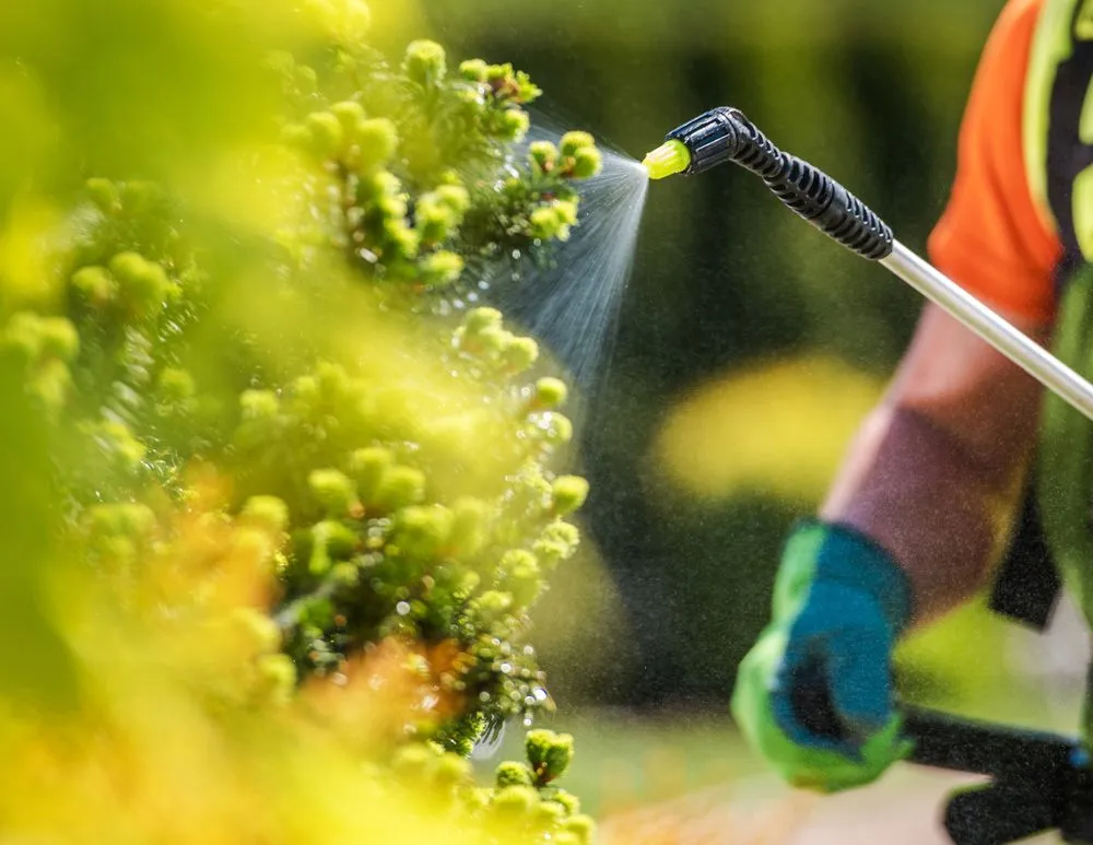 Top-rated yard cleanup service for residential properties in Panama City, FL by Lawnmasters of Panama City