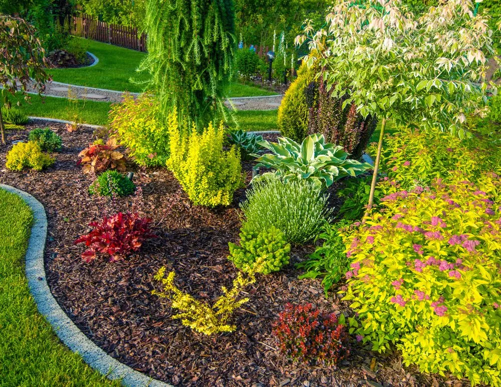 Affordable lawn care service near you in Panama City, FL by Lawnmasters of Panama City