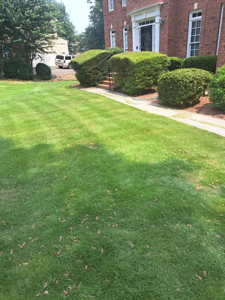 Custom lawn mowing service experts serving Stone Mountain, GA - Lawnmasters