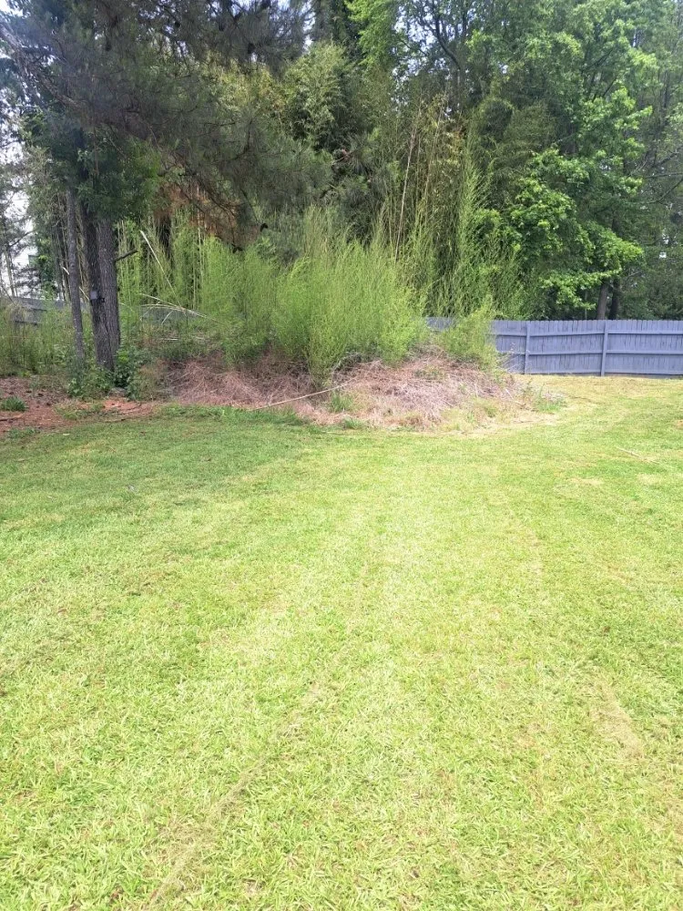 Professional lawn mowing service in Stone Mountain, GA - Lawnmasters