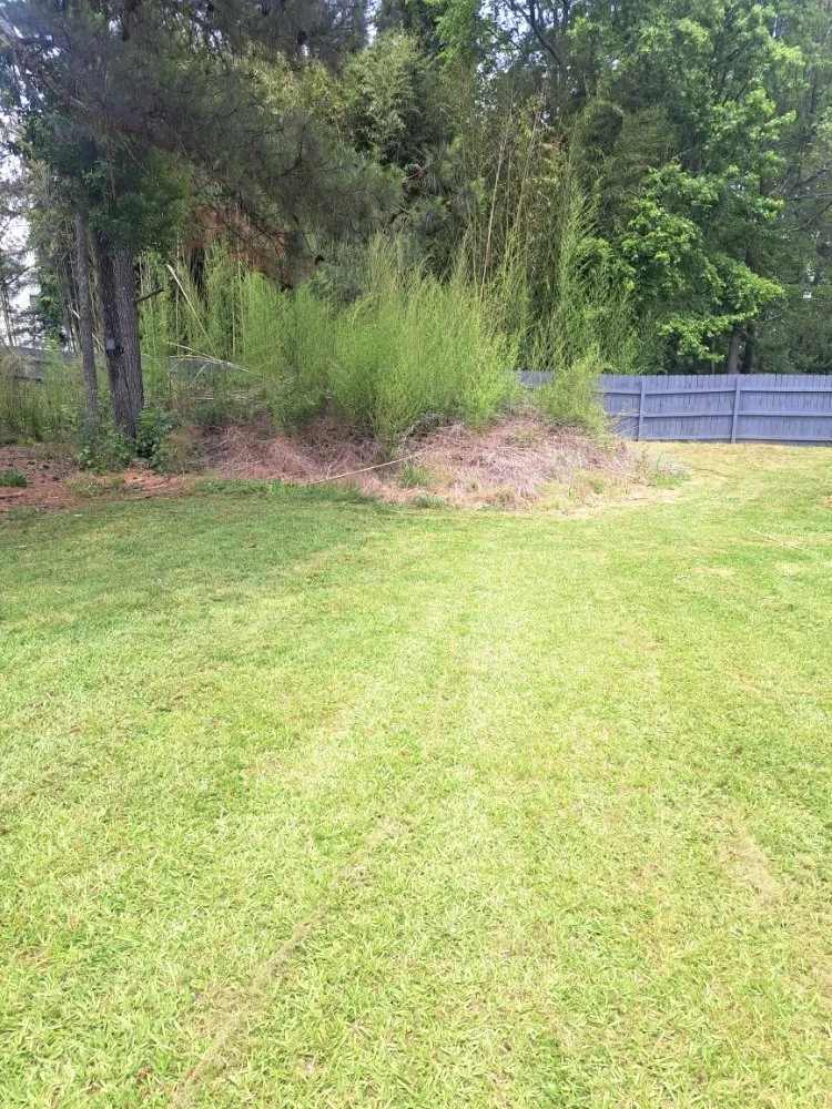 Expert lawn mowing service in Stone Mountain, GA - Lawnmasters
