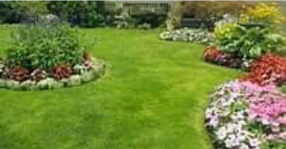 Top-rated yard cleanup service in Valparaiso, IN by LawnMasters