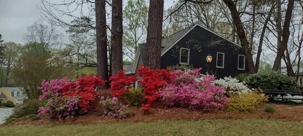 Trusted yard cleanup service in Decatur, GA by LawnMax & Partners