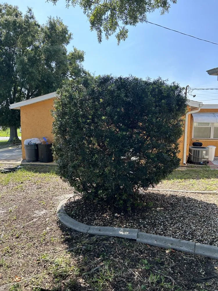 Expert lawn mowing service experts serving Moon Lake Estates, FL - LawnMo Romeo